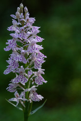 Similar image 20981967