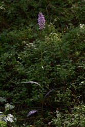 Similar image 20981968