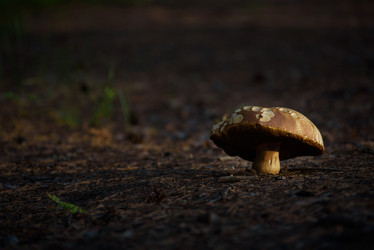 Similar image 20981969