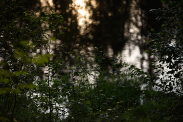 Similar image 20981971