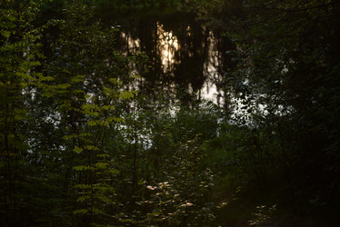 Similar image 20981972