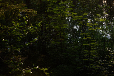 Similar image 20981973