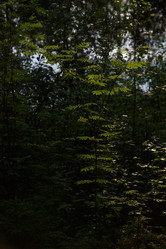 Similar image 20981974