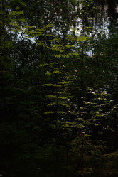 Similar image 20981975