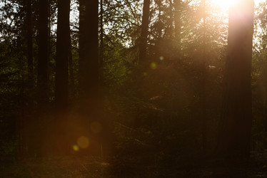 Similar image 20981976