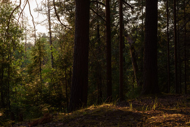 Similar image 20981979