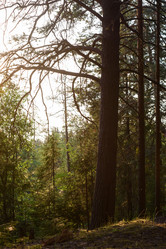 Similar image 20981980