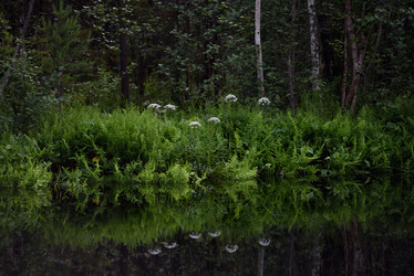 Similar image 20981981