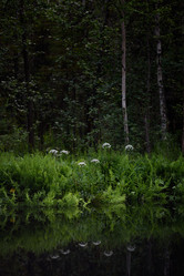 Similar image 20981982