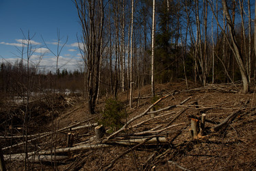 Similar image 20981986