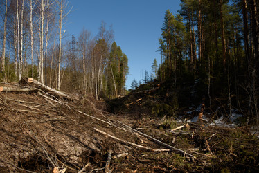 Similar image 20981988