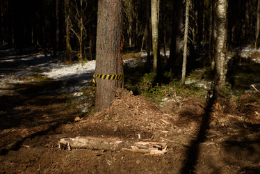 Similar image 20981991