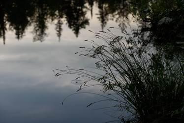 Similar image 20981993