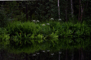 Similar image 20981994