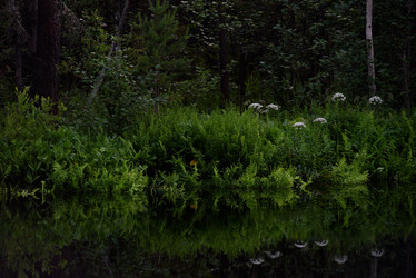 Similar image 20981995