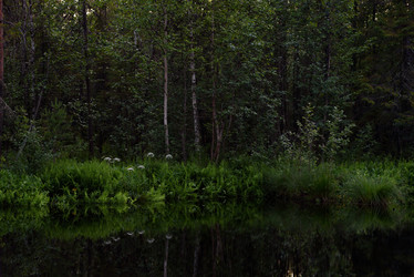 Similar image 20981999