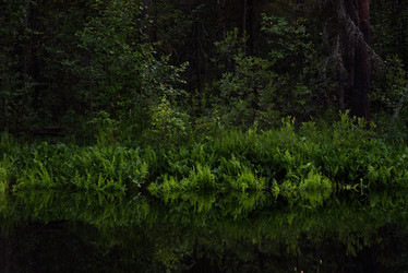 Similar image 20982000