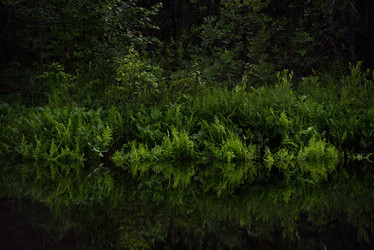 Similar image 20982001