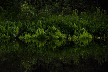 Similar image 20982002