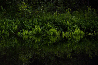 Similar image 20982003