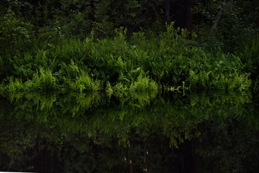 Similar image 20982004