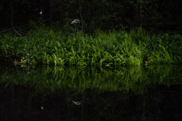 Similar image 20982006