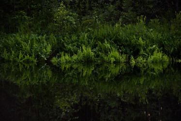 Similar image 20982007