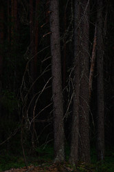 Similar image 20982010