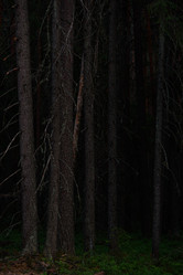 Similar image 20982011