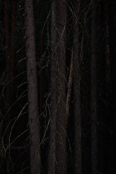 Similar image 20982012