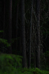 Similar image 20980373