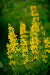 Similar image 20980374