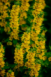 Similar image 20980376