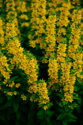 Similar image 20980377