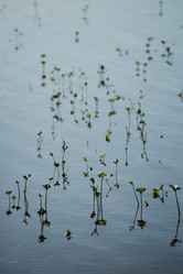 Similar image 20980382