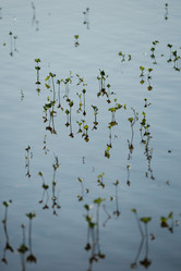 Similar image 20980383