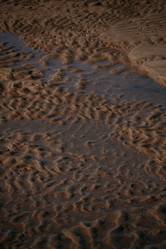 Similar image 20982013