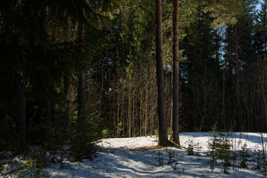 Similar image 20982014