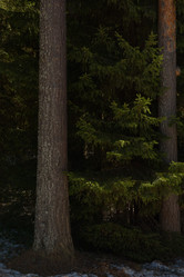 Similar image 20982015