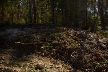 Similar image 20981824