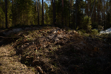 Similar image 20981825