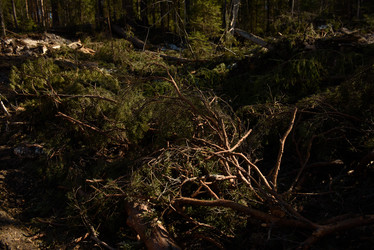 Similar image 20981826