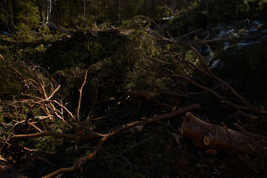 Similar image 20981827