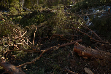 Similar image 20981828