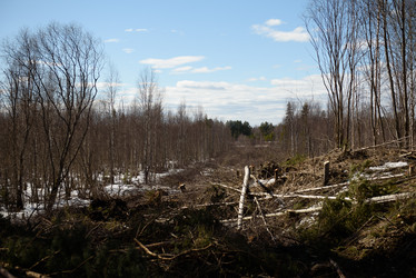 Similar image 20981830