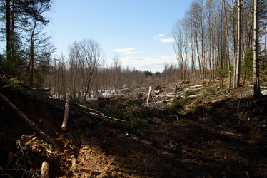 Similar image 20981832