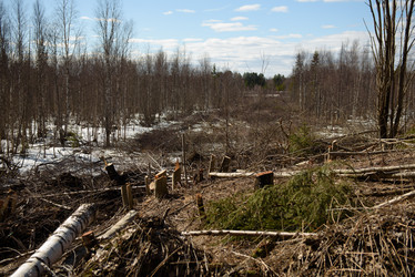 Similar image 20981834