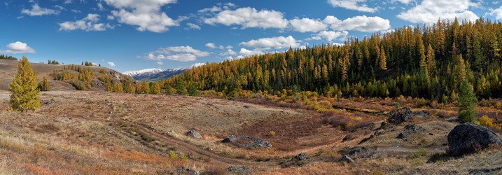 Similar image 20972551