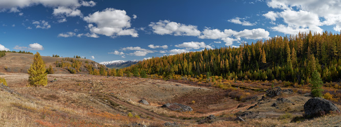 Similar image 20972552