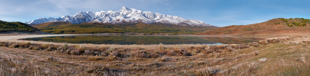 Similar image 20972554